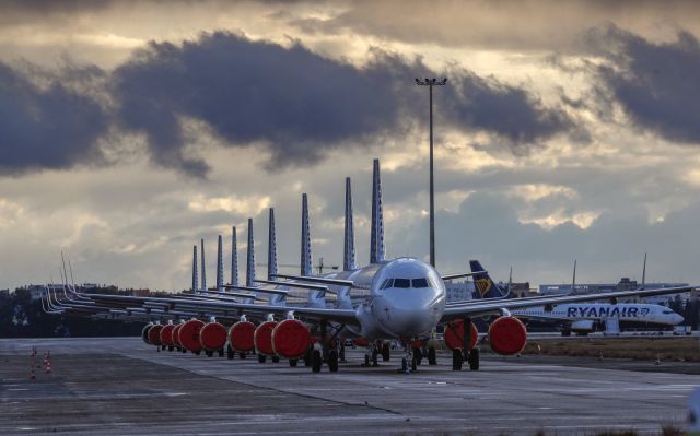 Google makes it easier to find COVID-19 travel advisories