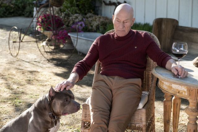 CBS offers a free month of All Access so you can binge-watch 'Picard'