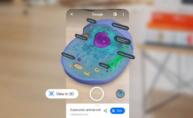 Google can give you AR science lessons right from the search page