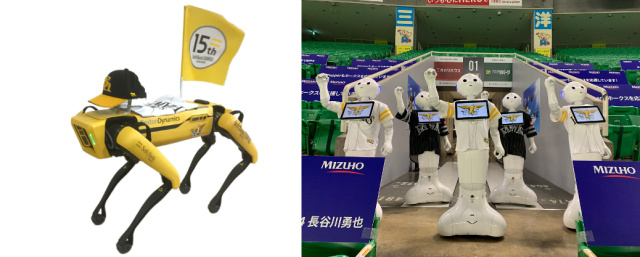 Spot and Pepper robots will perform at spectatorless baseball games in Japan